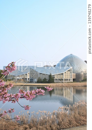 Niigata Prefectural Botanical Garden and Kawazu cherry blossoms viewed across the pond (Akiha Ward, Niigata City, Niigata Prefecture) 139748279