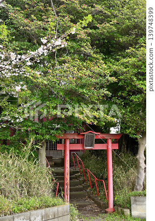岩槻週邊散步：慈恩寺八幡宮、朱紅鳥居 139748399