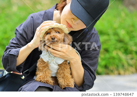 戴著主人贈送的草帽的玩具貴賓犬。 139748647