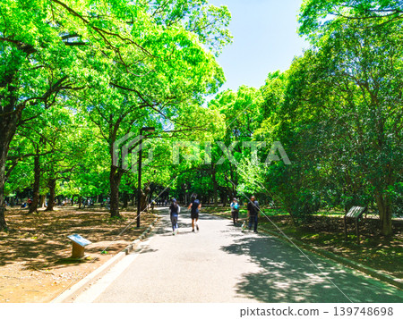 東京代代木公園,綠樹成蔭 東京代代木公園,綠樹成蔭 139748698