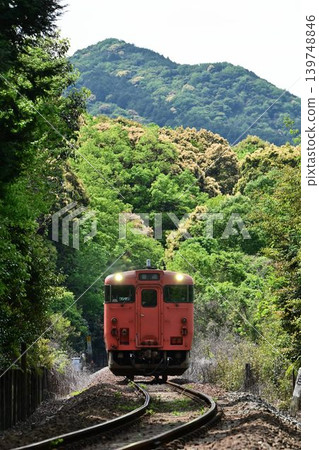 JR Yamaguchi Line, passing through Oyama Third level crossing, "Tarako" (Kiha 40 series) 139748846