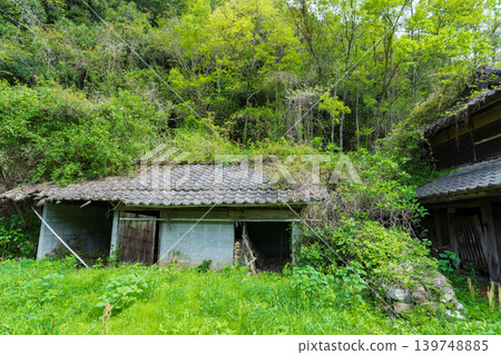 A dilapidated house that looks like it's about to be swallowed by trees A dilapidated house that looks like it's about to be swallowed by trees 139748885