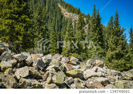 Rocky mountain landscape with large boulders pine trees Rocky mountain landscape with large boulders pine trees 139749081