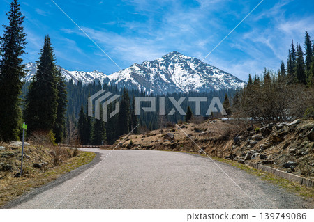 Paved road pathway through pine spruce forest leading to snow capped mountains Paved road pathway through pine spruce forest leading to snow capped mountains 139749086