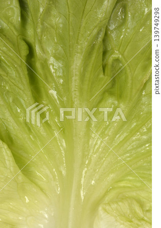 Green Lettuce Leaf Texture Close Up 139749298