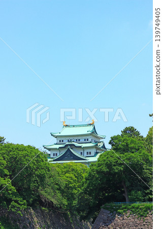 在愛知縣名古屋市,名古屋城掩映在綠樹叢中,景色宜人。 在愛知縣名古屋市,名古屋城掩映在綠樹叢中,景色宜人。 139749405