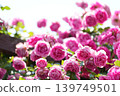 A parade 139749501