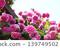 A parade 139749502