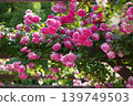 A parade 139749503