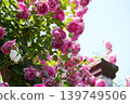 A parade 139749506