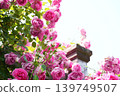 A parade 139749507