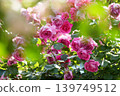 A parade 139749512