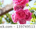 A parade 139749513