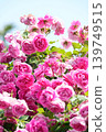 A parade 139749515