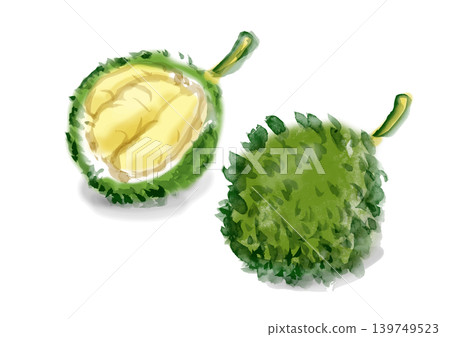 手繪榴槤插圖 手繪榴槤插圖 139749523
