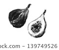 手繪的黑白無花果插圖。 139749526