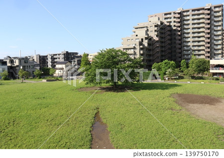 妙登公園廣闊的草坪 妙登公園廣闊的草坪 139750170