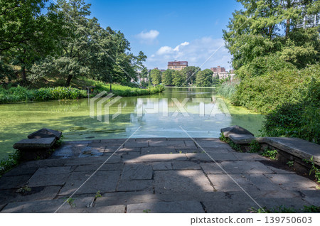 New york, usa august 18,2024. Stone steps descend to a tranquil central park lake framed by lush summer greenery, blue sky and peaceful reflections New york, usa august 18,2024. Stone steps descend to a tranquil central park lake framed by lush summer greenery, blue sky and peaceful reflections 139750603