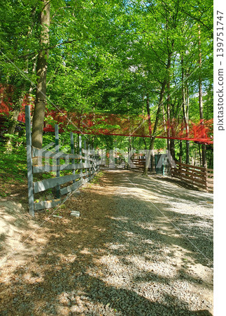 Scenic forest trail in a rope amusement park with wooden fence, gravel road and red protective net between green trees Scenic forest trail in a rope amusement park with wooden fence, gravel road and red protective net between green trees 139751747