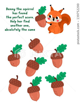 Find two same acorns. Forest animals matching activity for children. Woodland educational quiz worksheet for kids for attention skills. Wildlife printable game with cute squirrel 139752200