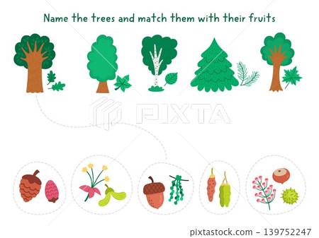 Forest matching activity with trees, their flowers, leaves, fruits. Woodland puzzle with oak, birch, chestnut, fir tree, maple. Botanical, nature study match object game, printable worksheet Forest matching activity with trees, their flowers, leaves, fruits. Woodland puzzle with oak, birch, chestnut, fir tree, maple. Botanical, nature study match object game, printable worksheet 139752247