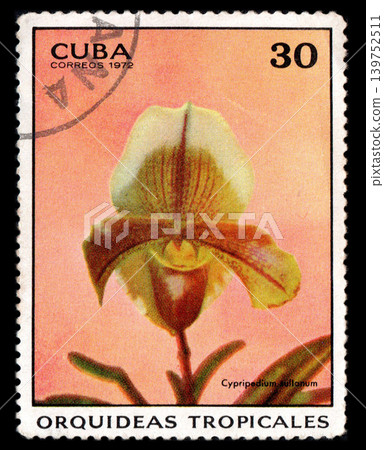 Cuban postage stamp depicting tropical orchid. Vintage post stamp Cuban postage stamp depicting tropical orchid. Vintage post stamp 139752511