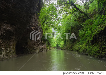 Waterway. Green canopy arches over calm river water. Georgia. Waterway. Green canopy arches over calm river water. Georgia. 139752529