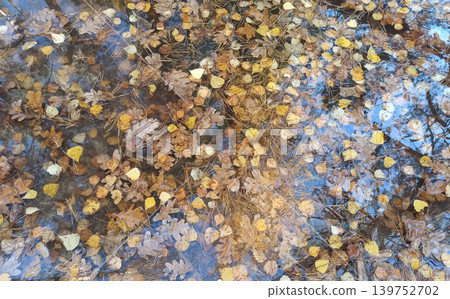 Autumn still life. Dry leaves lie in puddle of water. Autumnal weather Autumn still life. Dry leaves lie in puddle of water. Autumnal weather 139752702