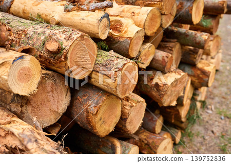 Stacked logs with cut ends and bark texture outdoors 139752836