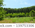 In the mountains 139753306