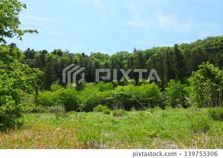 In the mountains In the mountains 139753306