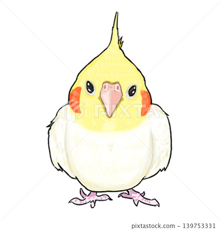 玄鳳鸚鵡 139753331