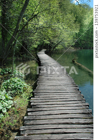 Wooden Boardwalk in Plitvice Lakes National Park Wooden Boardwalk in Plitvice Lakes National Park 139753921