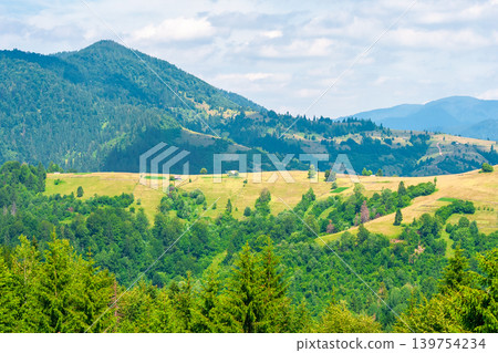 agricultural field on hillside in mountains near village. high noon summer day. green carpathian mountain landscape. narrow view. organic farmland beauty. remote alpine highland agricultural field on hillside in mountains near village. high noon summer day. green carpathian mountain landscape. narrow view. organic farmland beauty. remote alpine highland 139754234