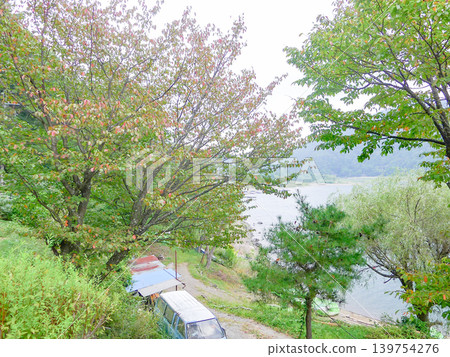 A tree with leaves beginning to change color and an old car standing by the lake. 139754276