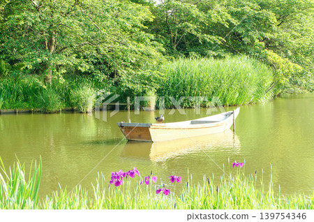A small boat on a quiet riverbank surrounded by greenery A small boat on a quiet riverbank surrounded by greenery 139754346