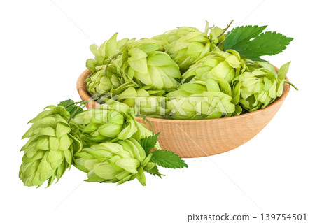 Hop cones in wooden bowl isolated on white background. Beer brewing ingredients 139754501