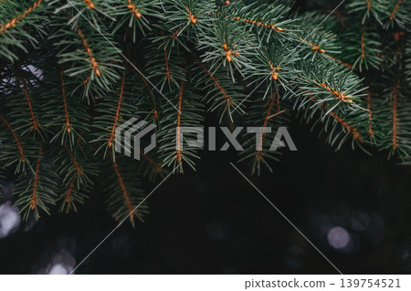 Fluffy branches of a fir-tree. Christmas wallpaper or postcard concept. Fluffy branches of a fir-tree. Christmas wallpaper or postcard concept. 139754521