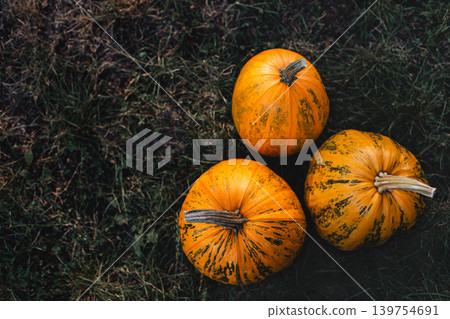 Three ripe pumpkins on a grass background. Flat lay. Place for text. Three ripe pumpkins on a grass background. Flat lay. Place for text. 139754691