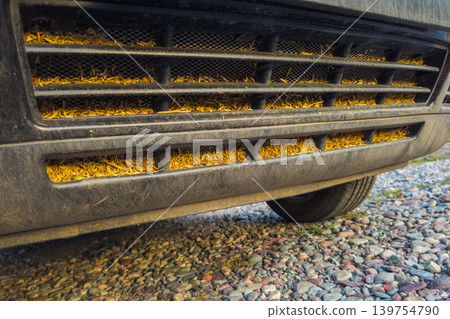 Close-Up of Vehicle Grille Filled with Organic Debris Close-Up of Vehicle Grille Filled with Organic Debris 139754790