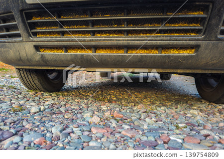 Vehicle Grille Clogged with Dried Organic Material on Gravel Vehicle Grille Clogged with Dried Organic Material on Gravel 139754809