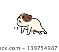 A guinea pig doing push-ups with all its might. 139754987