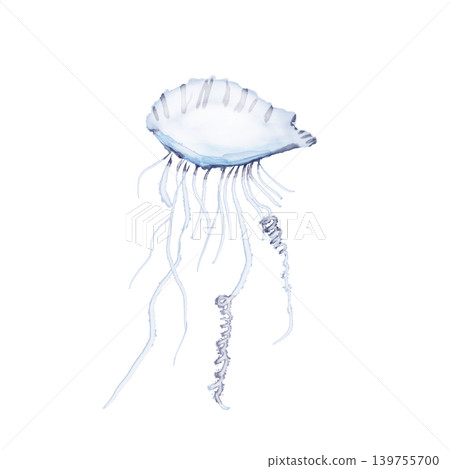 A translucent jellyfish illustration in an alcohol ink style, with a fantastical ocean motif on a white background. 139755700