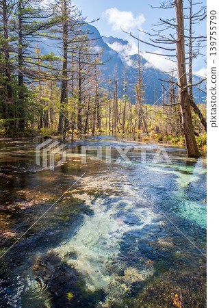 Autumn in Kamikochi, morning scenery: Dakezawa Marsh in the morning mist Autumn in Kamikochi, morning scenery: Dakezawa Marsh in the morning mist 139755790
