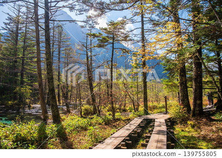 Autumn in Kamikochi: "Azusa River Right Bank Trail and Gakusawa Marshland" (Matsumoto City, Nagano Prefecture) 139755805