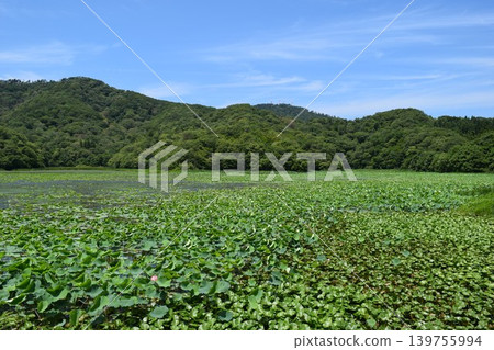 蓮花沼澤拉姆薩爾公約註冊地點 139755994