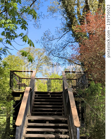 A sturdy staircase leads to a viewing platform among green trees on a sunny day. A sturdy staircase leads to a viewing platform among green trees on a sunny day. 139756023
