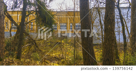 Silent countryside with fall colors. Serene rural landscape featuring muted autumn hues and mossy ground Silent countryside with fall colors. Serene rural landscape featuring muted autumn hues and mossy ground 139756142