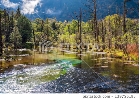 Autumn in Kamikochi: "Azusa River Right Bank Trail and Gakusawa Marshland" (Matsumoto City, Nagano Prefecture) Autumn in Kamikochi: "Azusa River Right Bank Trail and Gakusawa Marshland" (Matsumoto City, Nagano Prefecture) 139756193