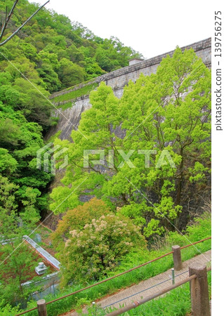 Kobe Nunobiki Dam, Nunobiki Falls, Ichigahara Dam Campsite 139756275